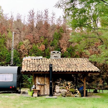 Into The Wild - Nos 5 Logements "Atypiques" Belin-Beliet Exterior foto