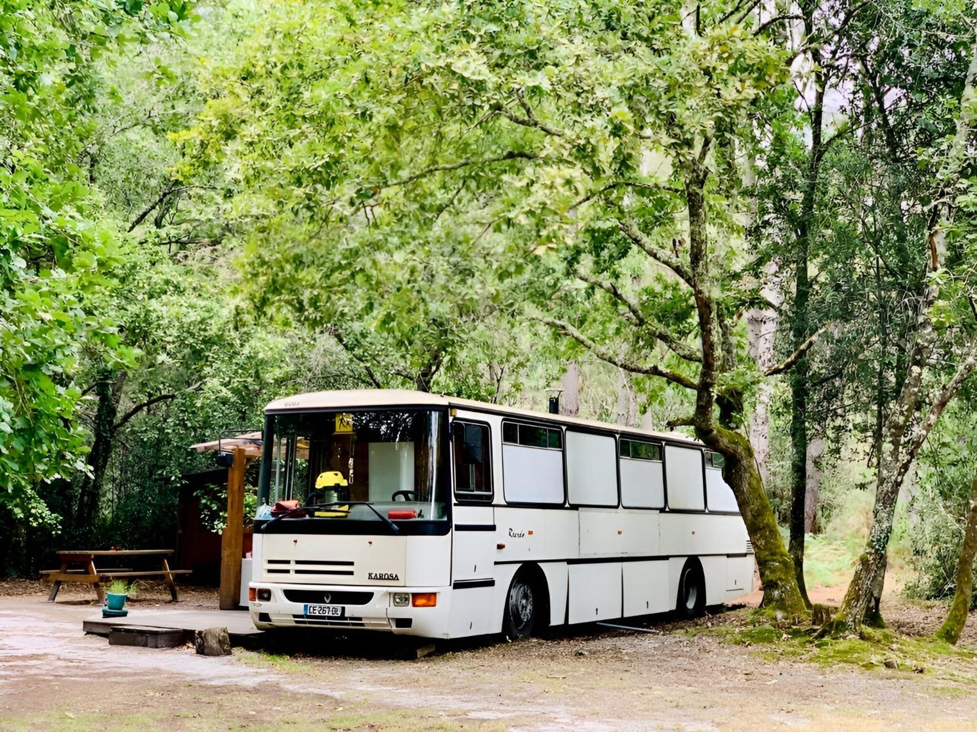Into The Wild - Nos 5 Logements "Atypiques" Belin-Beliet Zimmer foto
